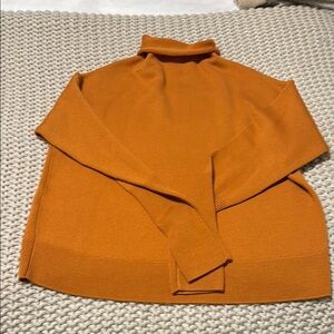 Aritzia Wilfred roll neck sweater